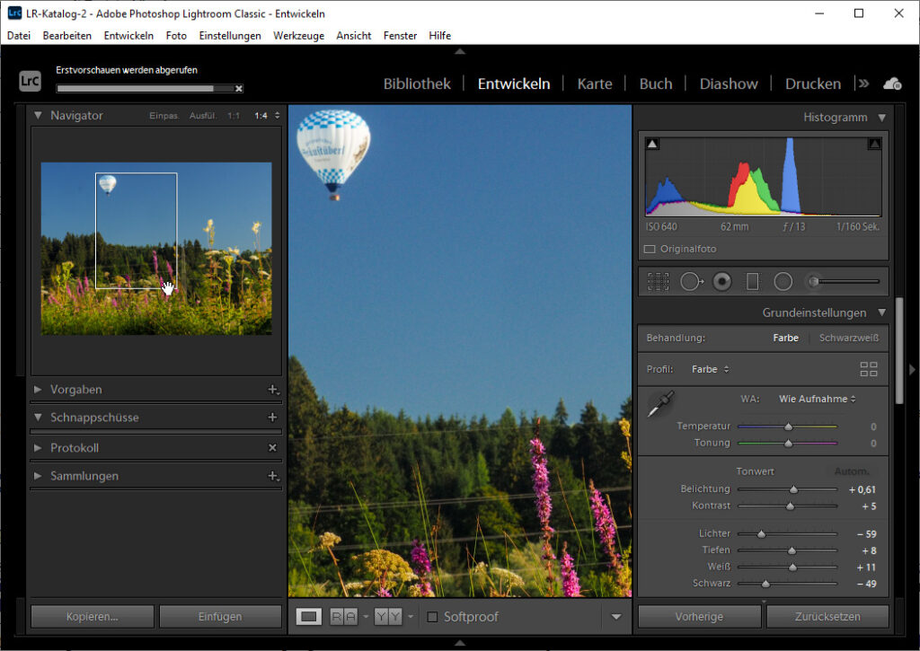 Bilder zoomen mit Bildprogramm ⚡️ Tipps & Tricks