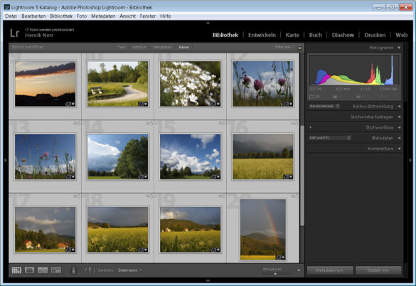 Lightroom Import Einstellungen: Bilder importieren