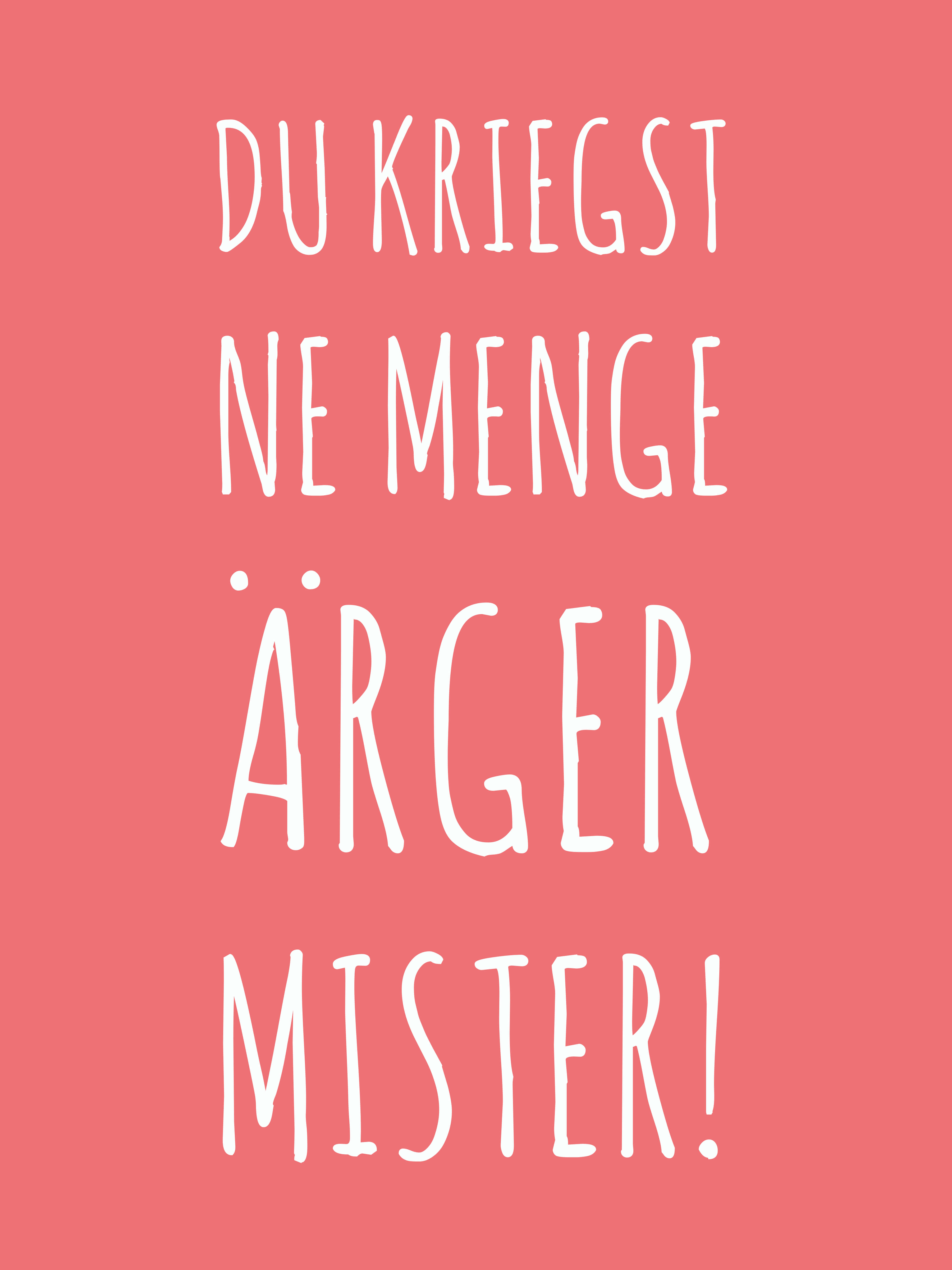 Fuller House Michelle you're in big trouble mister