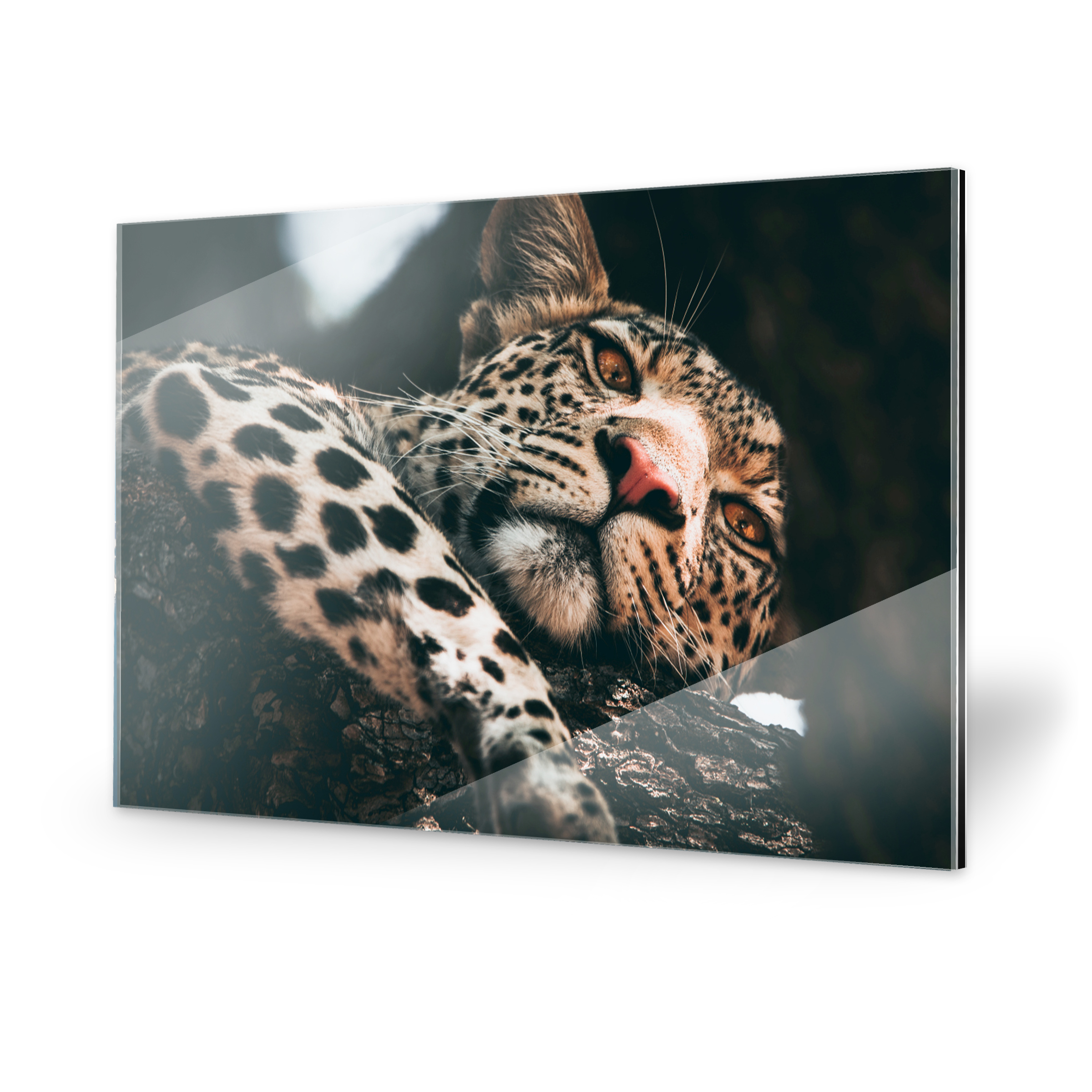 Resolution photo toile