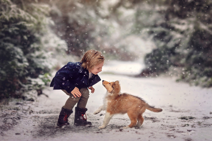Familienfotos Weihnachten: Kind mit Hund im Schnee